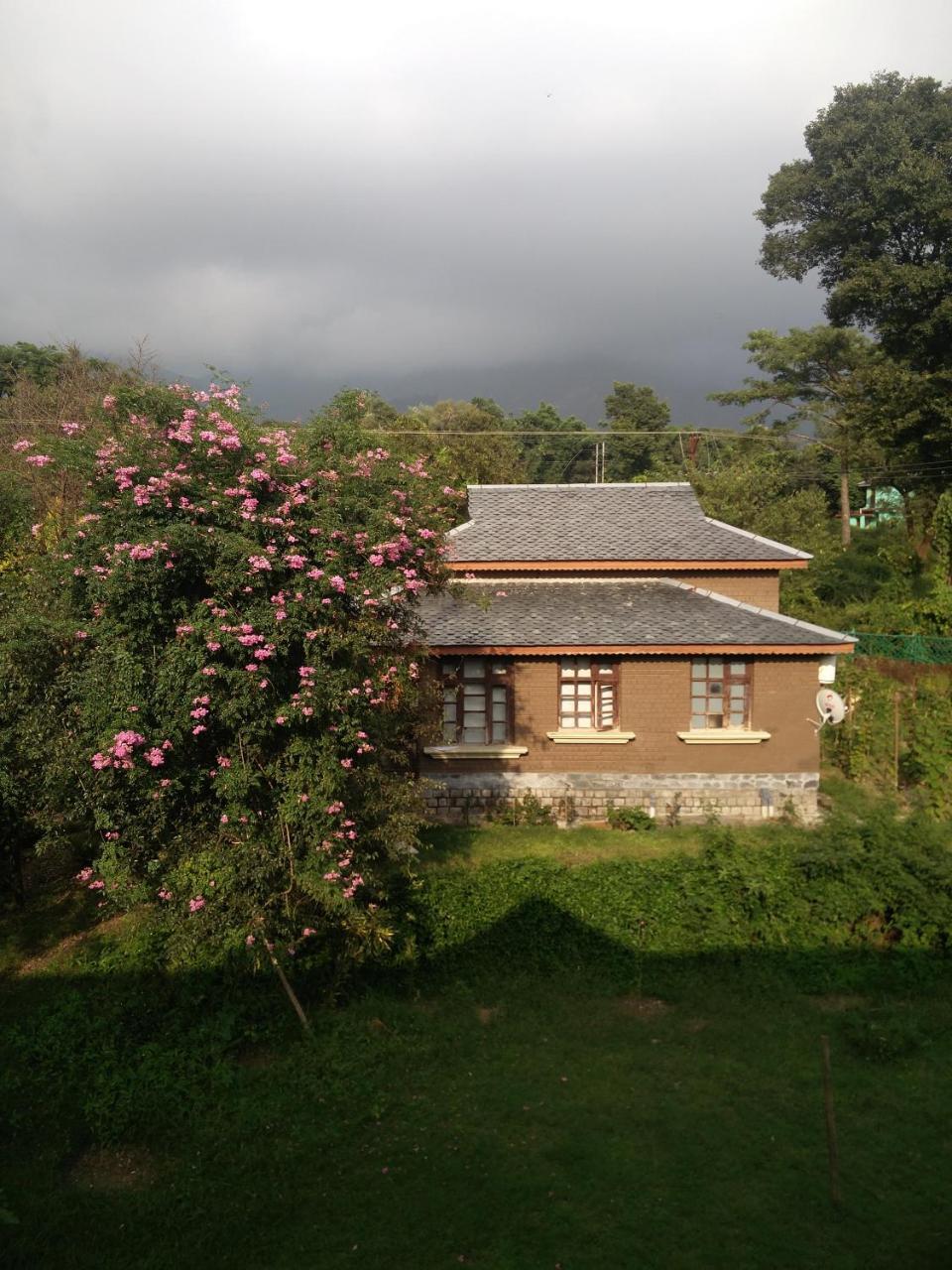 Blossoms Village Resort Dharamshala Eksteriør billede